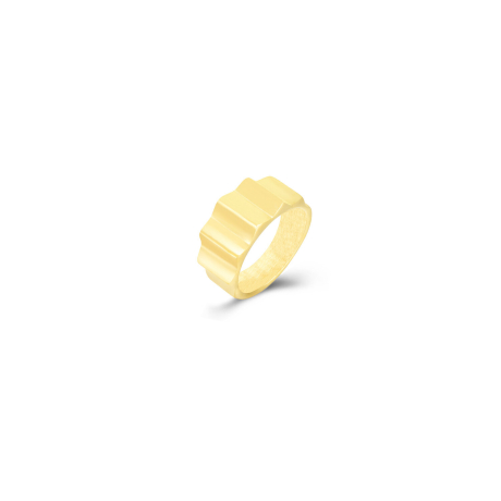 plata_1