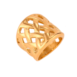 Steel Rings Mesh Steel Ring - 20mm - Gold Colour and Steel