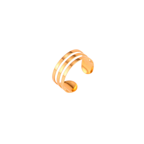 plata_1