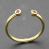 https://platayminerales.com/image/cache/catalog/products/ANM0007DO14RU-100x100.jpg