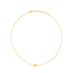 Collar Acero Mineral Collar Acero Liso - Mineral - Estrella - 40+5 cm - Color Oro y Color Plata