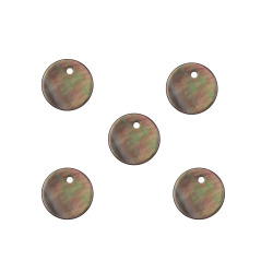 Silver Stone Charms Mineral Charm - Circle - 10.5mm,8.5mm - 5u - Mother of Pearl