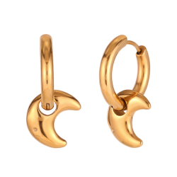 Steel Earrings Steel Earring - Hoop 18 mm - Moon 14 * 11 mm - Gold and Silver Color