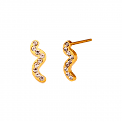 Steel Zircon Earrings Steel Earrings - Snake - 4 * 10mm - Gold and Steel Color