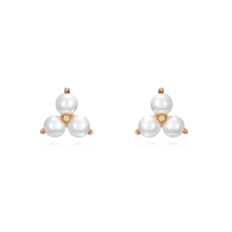 plata_1
