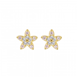 Silver Zircon Earrings Star Earrings 5.5mm - Zirconia - Gold Plated and Rhodium Silver