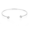 https://platayminerales.com/image/cache/catalog/products/PSZ0026RH-100x100.jpg